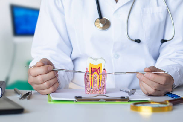 Best Emergency Gum Pain Relief  in St David, AZ